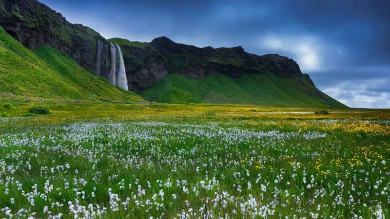 Seljalandsfoss Waterfall Theme Preview Image