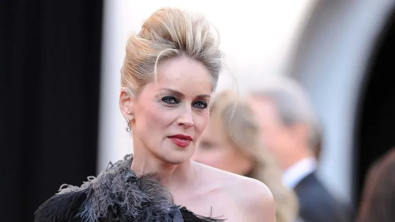 Sharon Stone Theme Preview Image