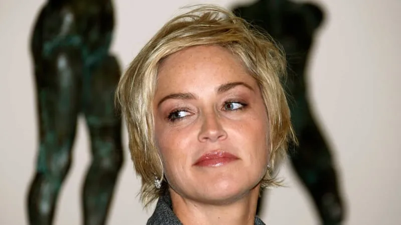Sharon Stone Theme Preview Image