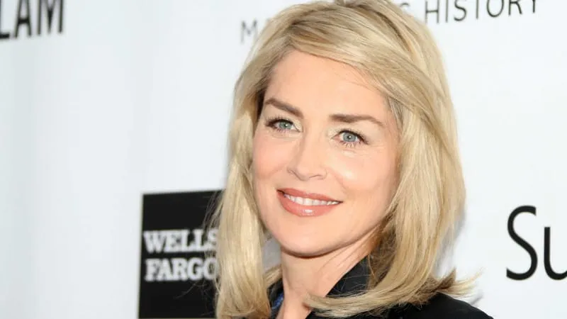 Sharon Stone Theme Preview Image