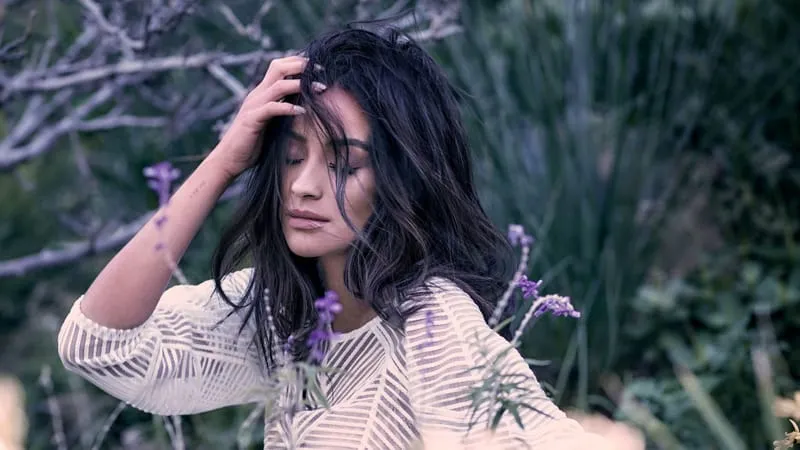Shay Mitchell Theme Preview Image