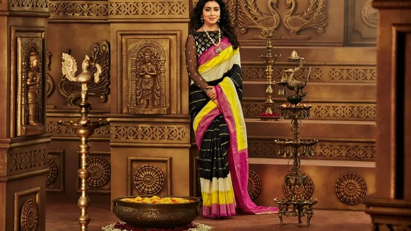 Shriya Saran Theme Preview Image