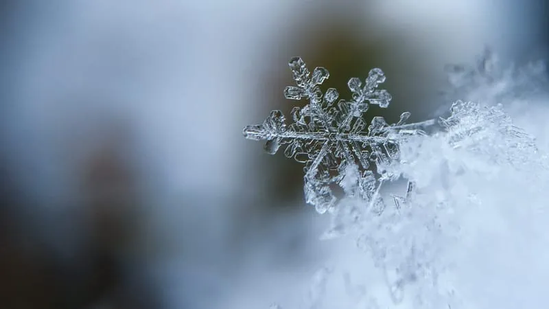 Snowflake Theme Preview Image