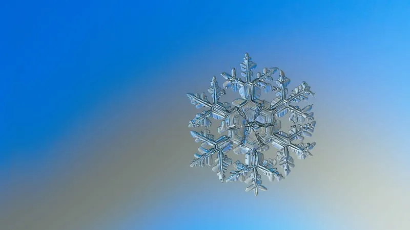 Snowflake Theme Preview Image
