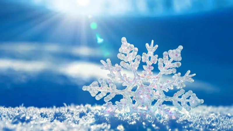 Snowflake Theme Preview Image