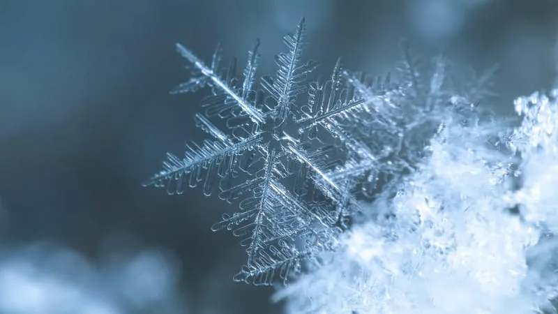 Snowflake Theme Preview Image