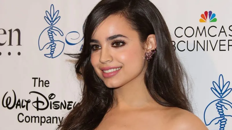 Sofia Carson Theme Preview Image