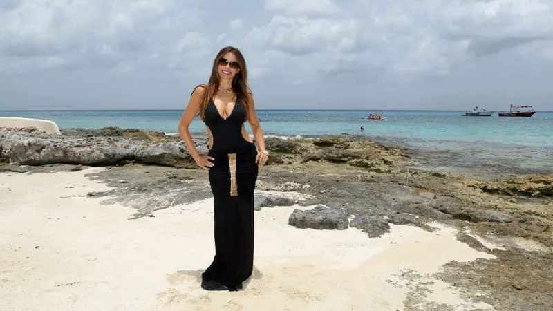 Sofia Vergara Theme Preview Image