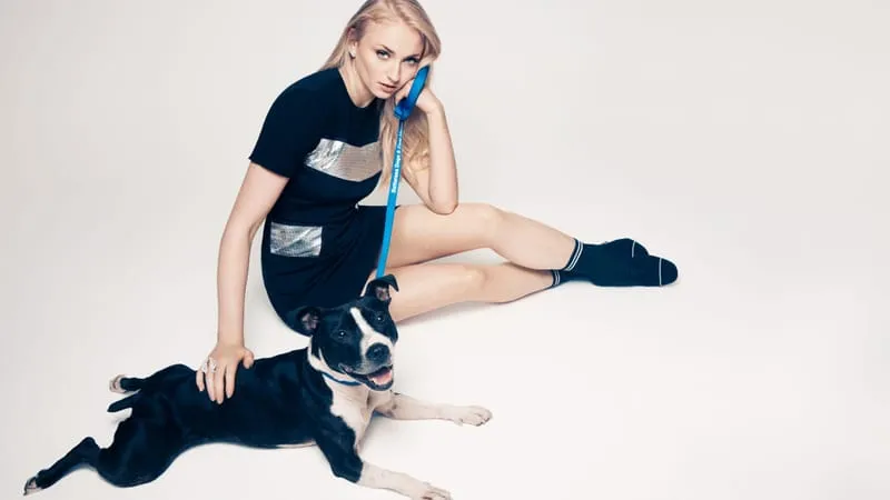 Sophie Turner Theme Preview Image