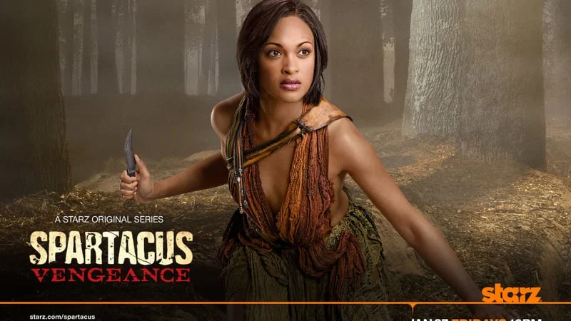 Spartacus Theme Preview Image