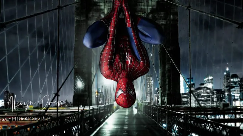 Spider Man Tobey Maguire Theme Preview Image