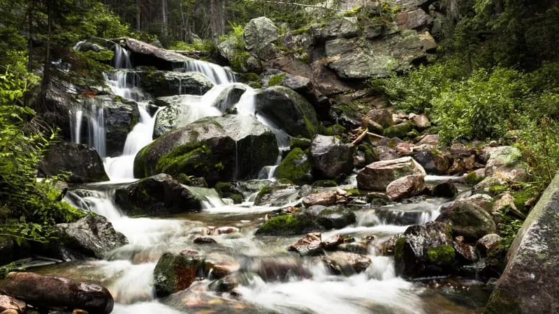 Stream Theme Preview Image