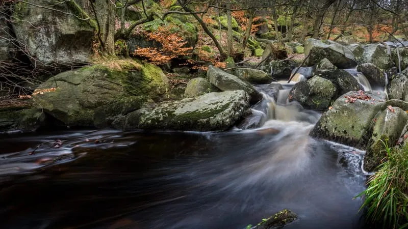 Stream Theme Preview Image