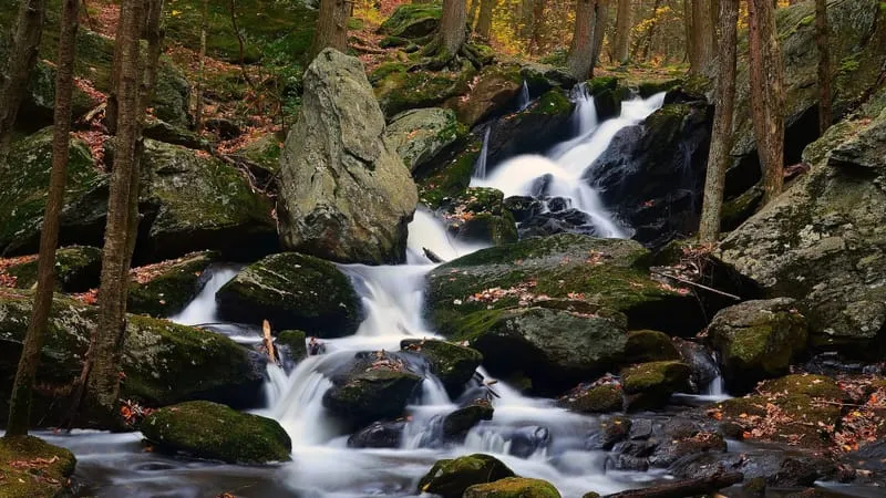 Stream Theme Preview Image