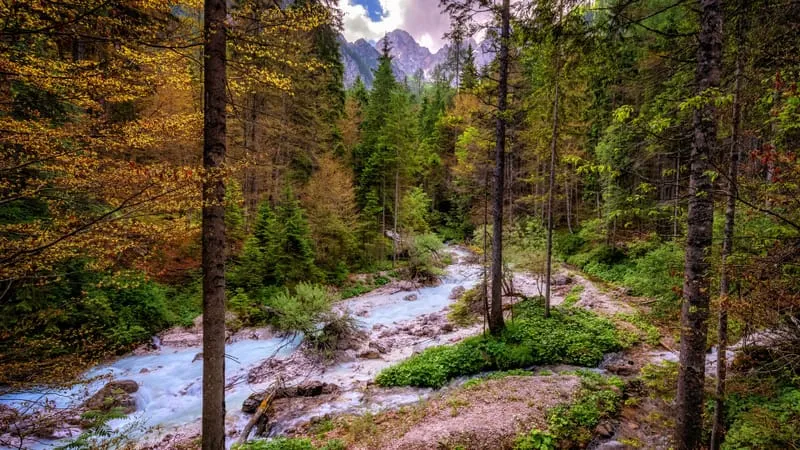 Stream Theme Preview Image