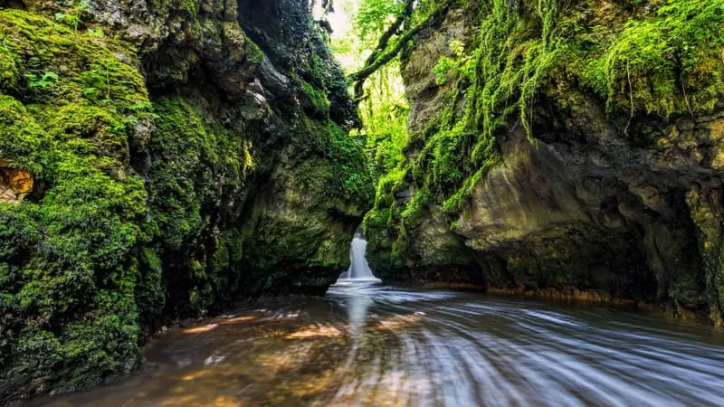 Stream Theme Preview Image