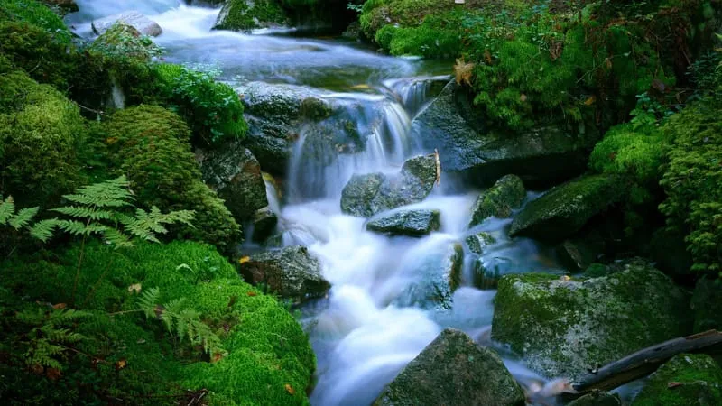 Stream Theme Preview Image