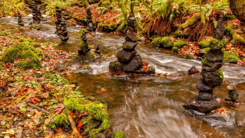 Stream Theme Preview Image