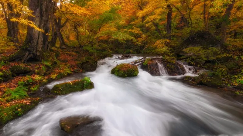 Stream Theme Preview Image