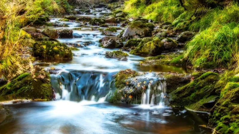 Stream Theme Preview Image