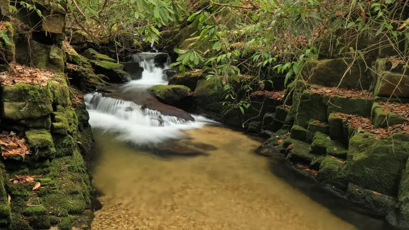 Stream Theme Preview Image