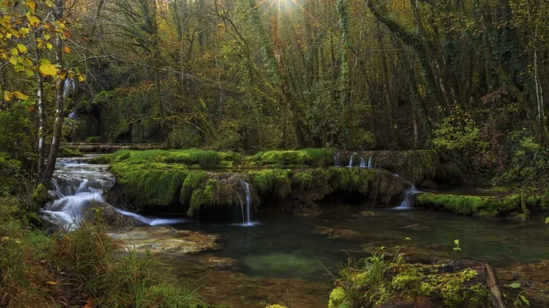 Stream Theme Preview Image