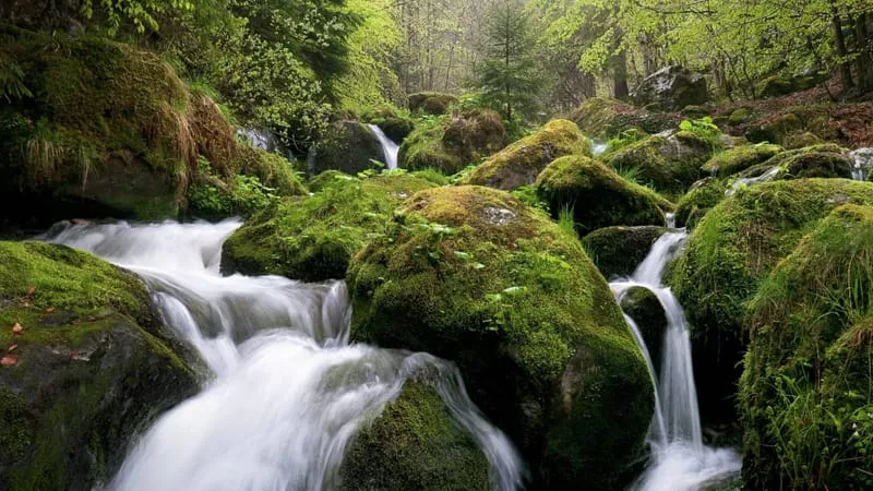 Stream Theme Preview Image