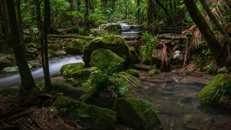 Stream Theme Preview Image