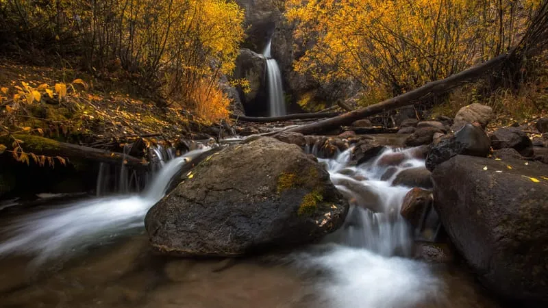 Stream Theme Preview Image