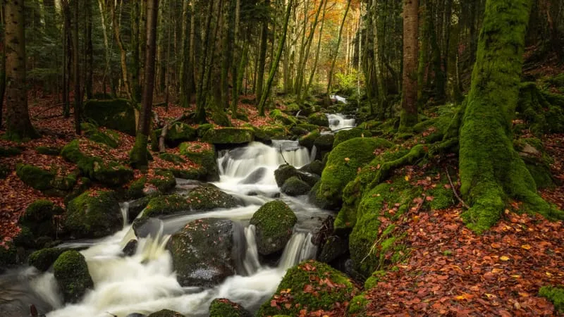 Stream Theme Preview Image