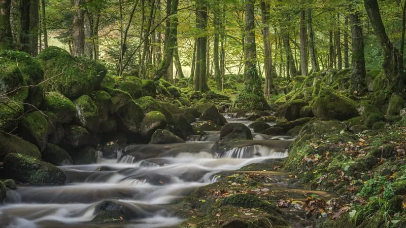 Stream Theme Preview Image