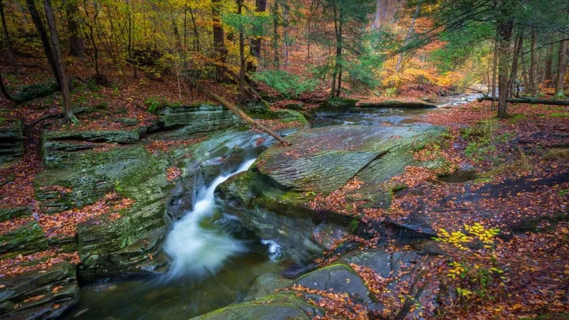 Stream Theme Preview Image