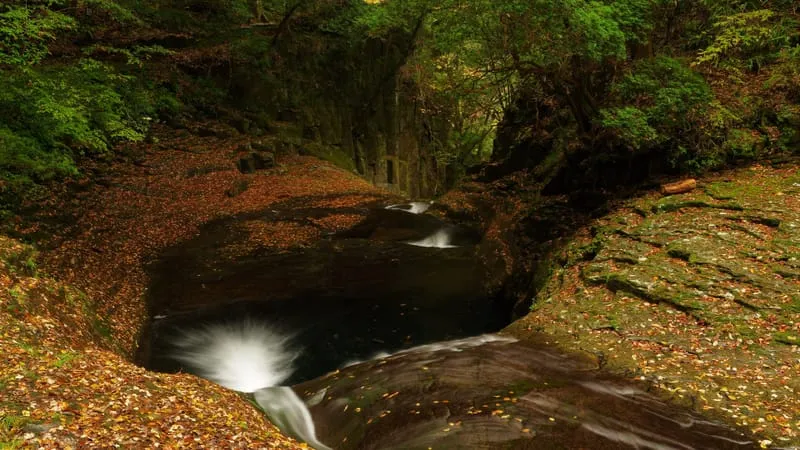 Stream Theme Preview Image