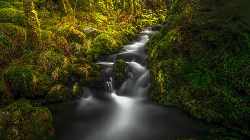 Stream Theme Preview Image