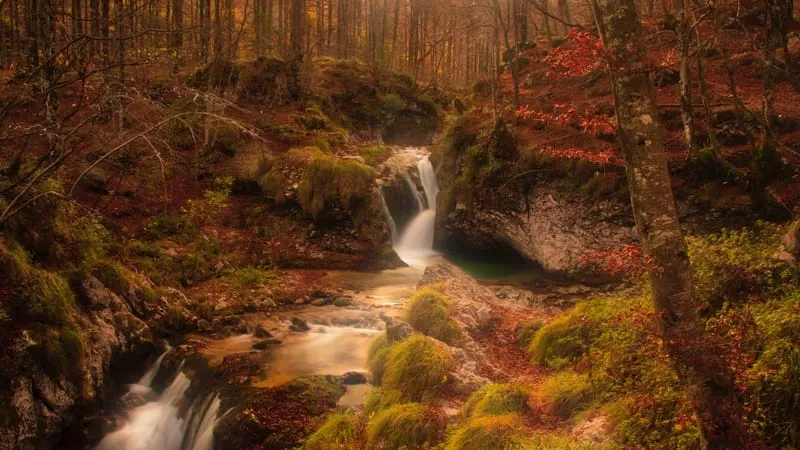 Stream Theme Preview Image