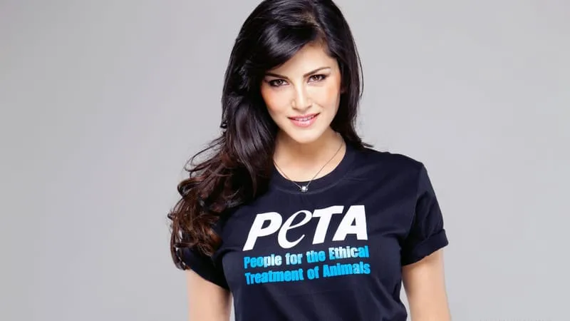 Sunny Leone Theme Preview Image