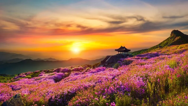 Sunrise Theme Preview Image