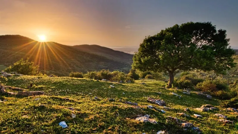 Sunrise Theme Preview Image