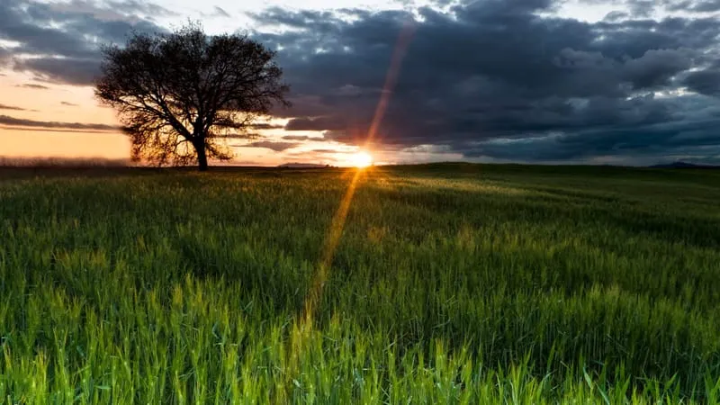 Sunrise Theme Preview Image