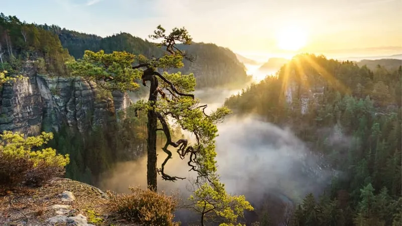 Sunrise Theme Preview Image