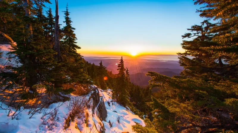 Sunrise Theme Preview Image