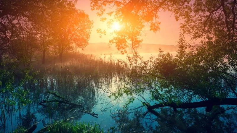 Sunrise Theme Preview Image