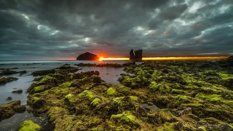 Sunrise Theme Preview Image