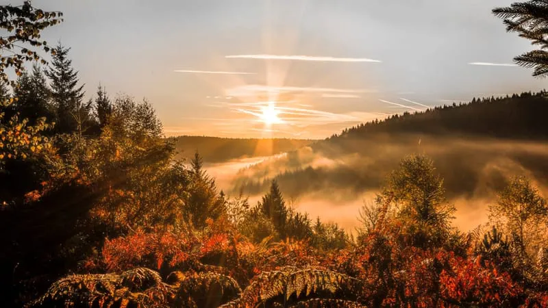 Sunrise Theme Preview Image