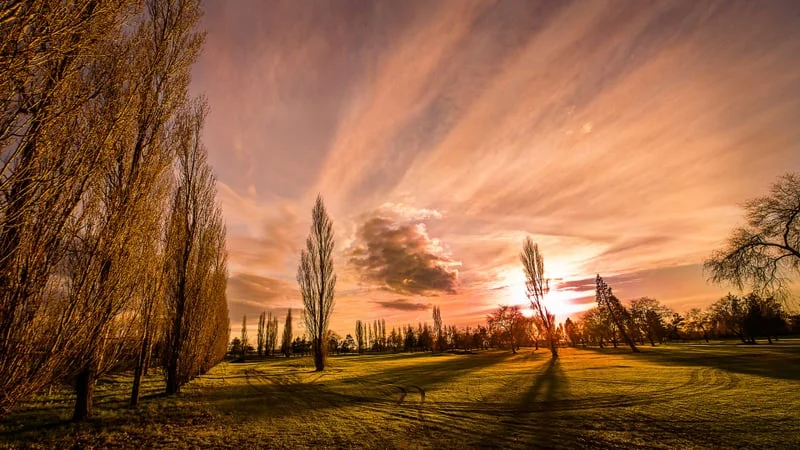 Sunset Theme Preview Image