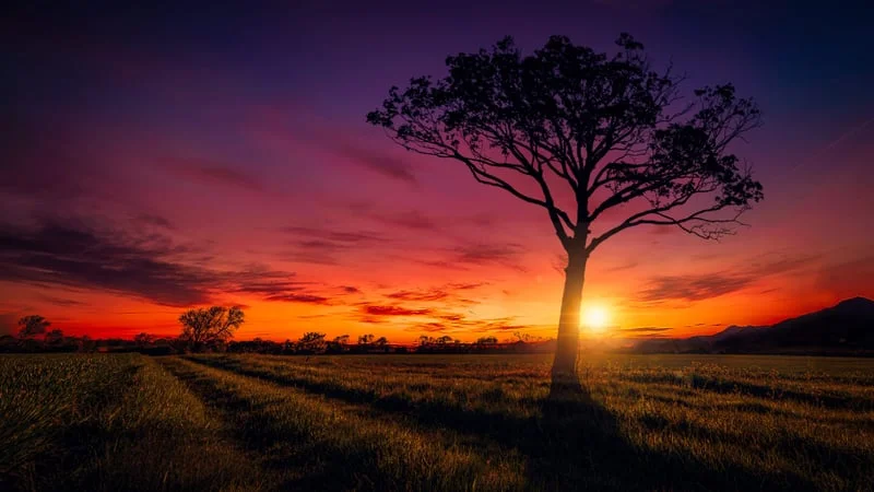 Sunset Theme Preview Image