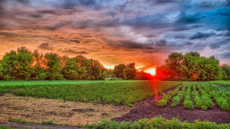 Sunset Theme Preview Image