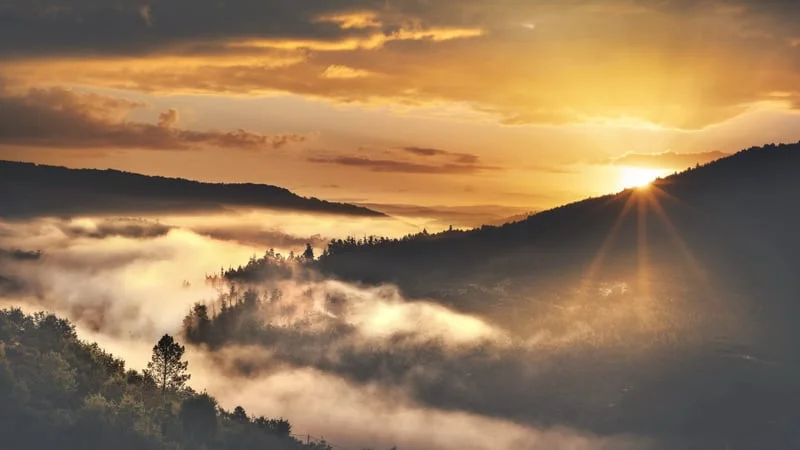 Sunset Theme Preview Image