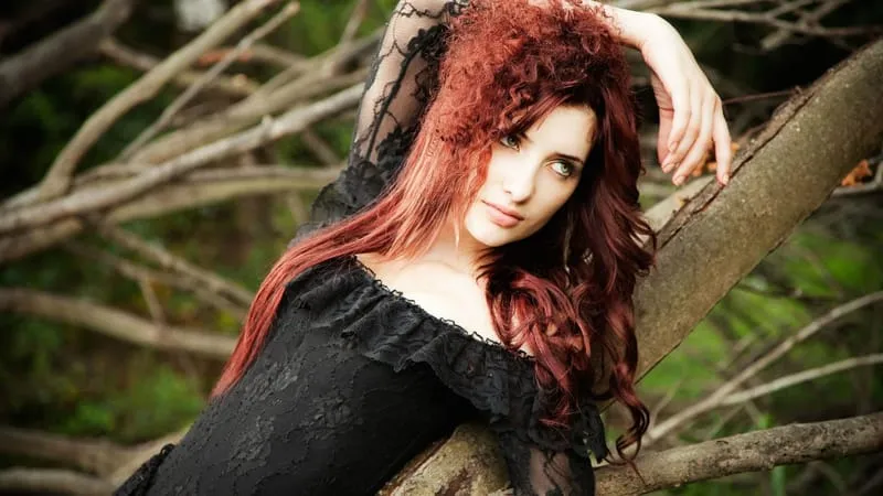 Susan Coffey Theme Preview Image
