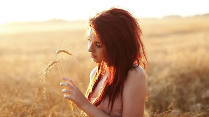 Susan Coffey Theme Preview Image